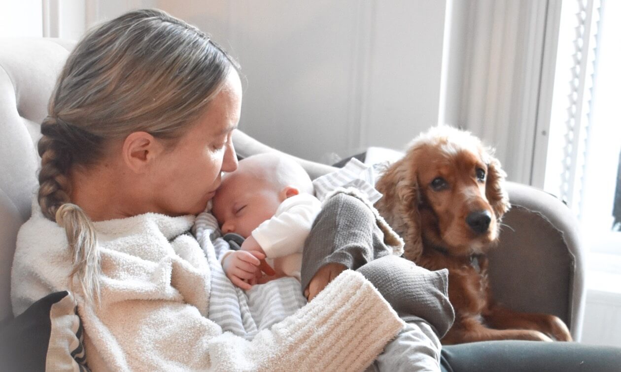 How to Introduce Your Newborn to Your Dog or Cat Zoetis Petcare