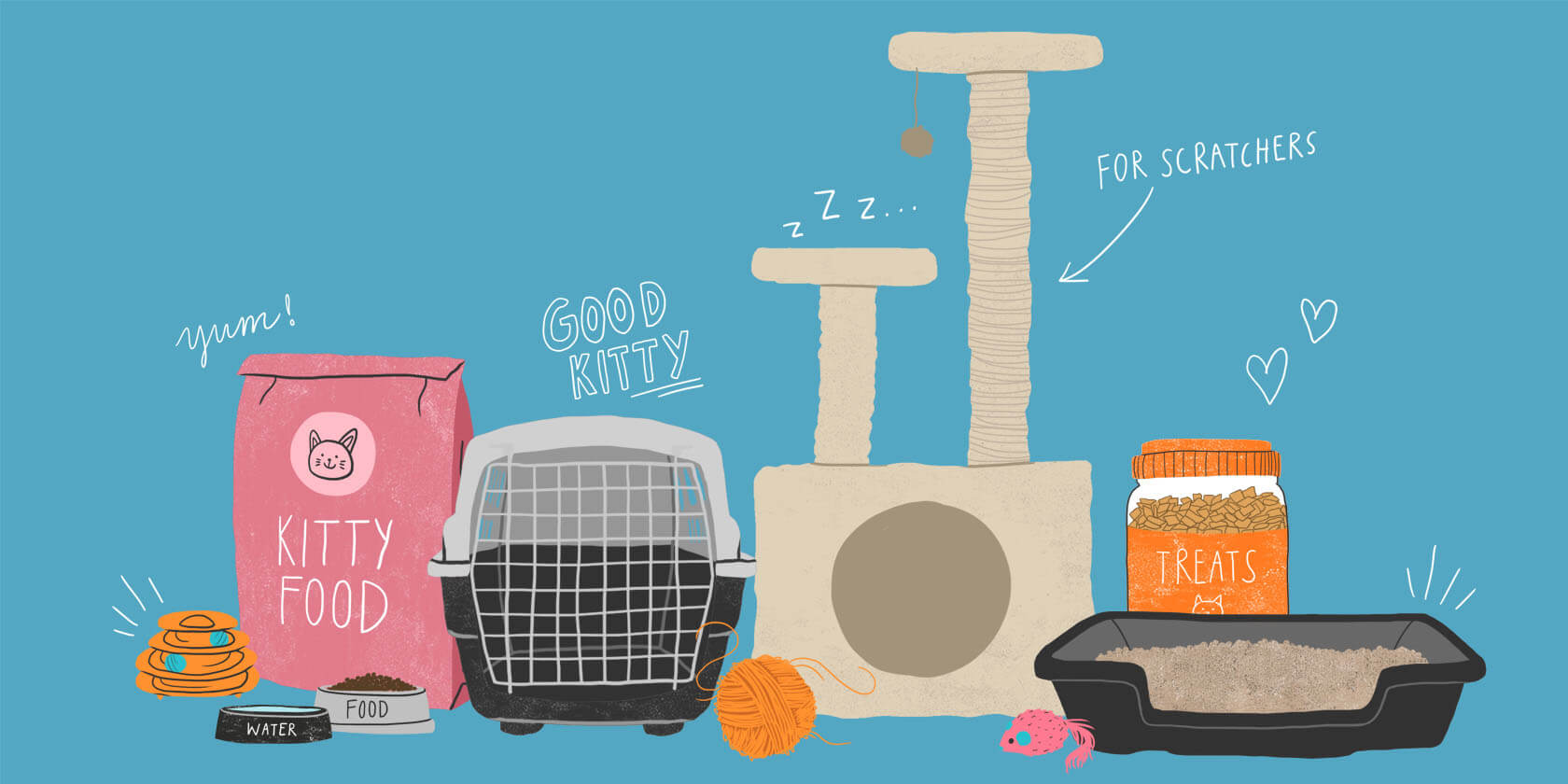 What to Buy for a New Cat Zoetis Petcare