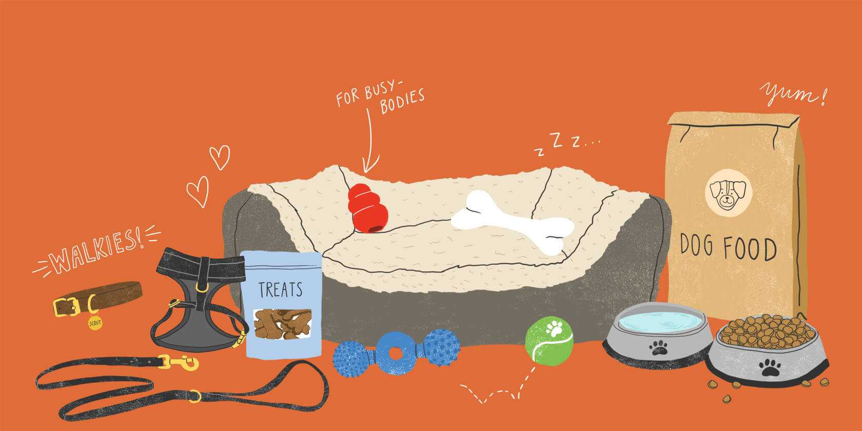 What to Buy for a New Dog Zoetis Petcare