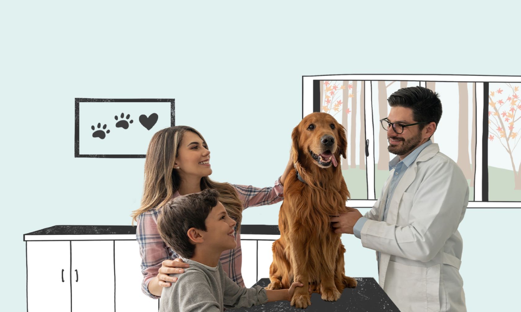 Dog at vet visit