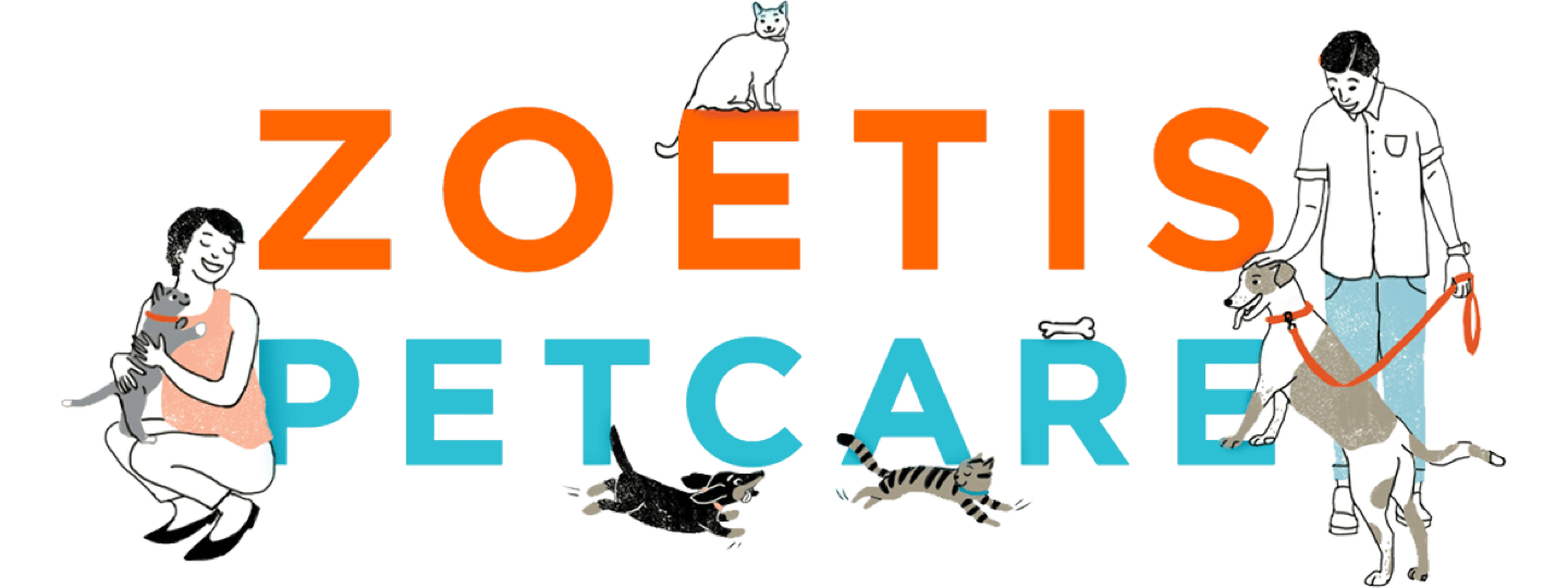 Supporting Your Pet Adoption Journey From AZ Zoetis Petcare