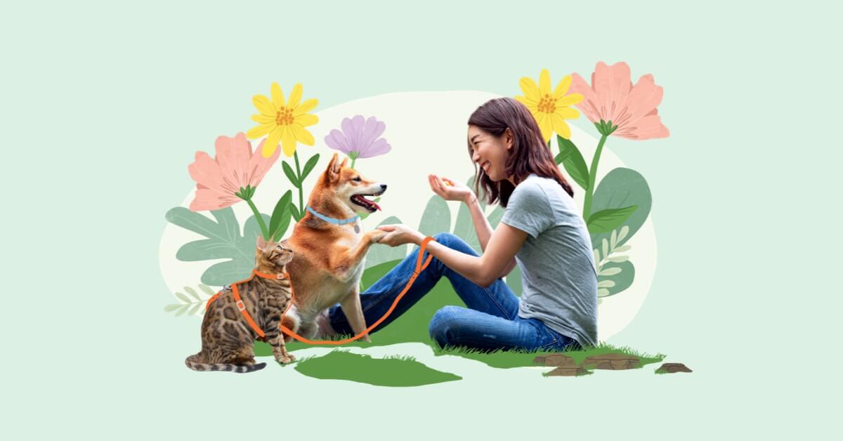 Pet Care Made Simple Zoetis Petcare