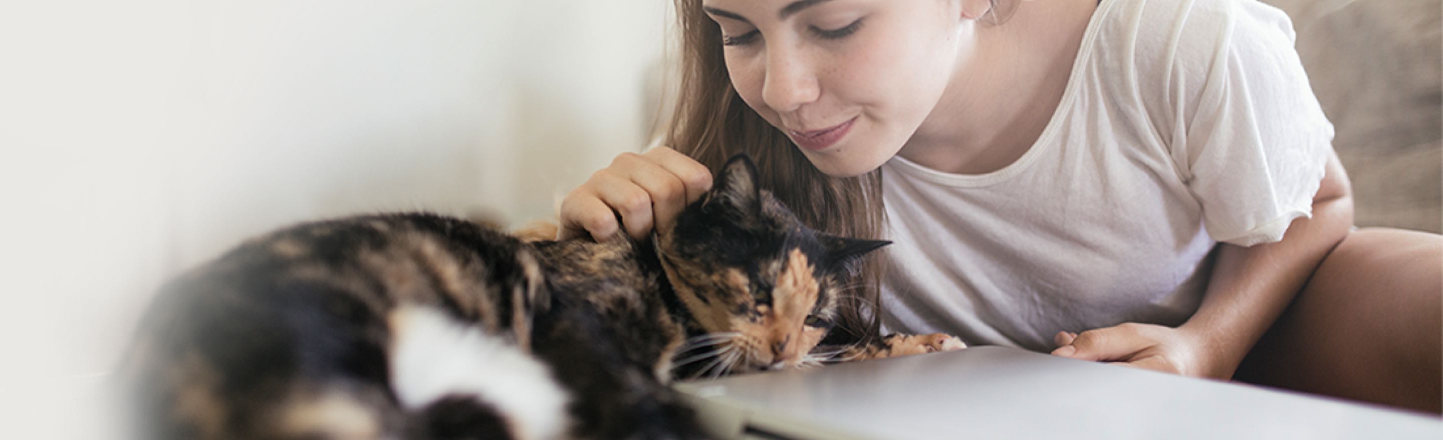 Revolution Plus Zoetis Petcare