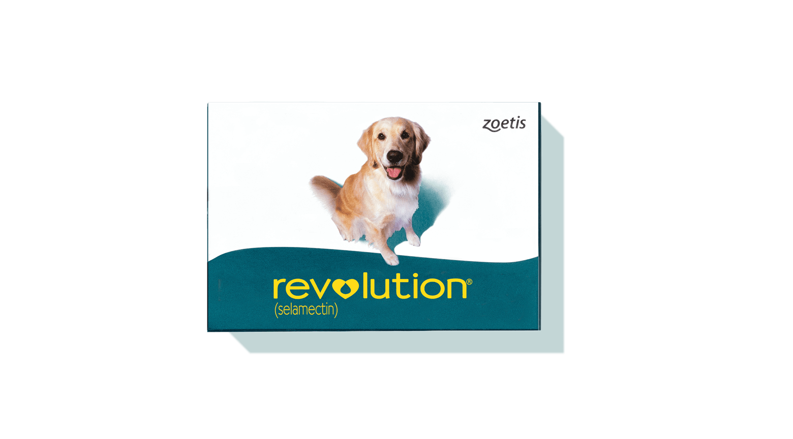 Revolution