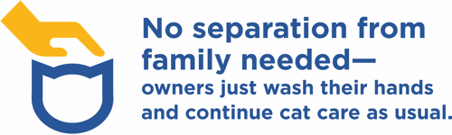 No separation from family needed—owners just wash their hands and continue cat care as usual.