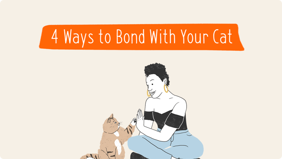 How to Protect the Bond Between You and Your Cat Zoetis Petcare