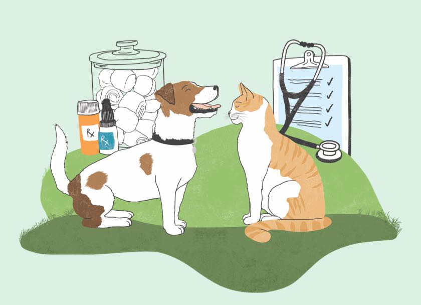 Pet Care Made Simple Zoetis Petcare