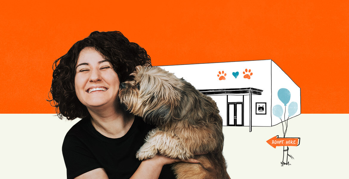 Dog kissing woman