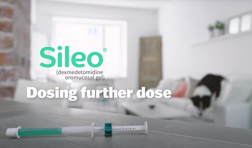sileo medication