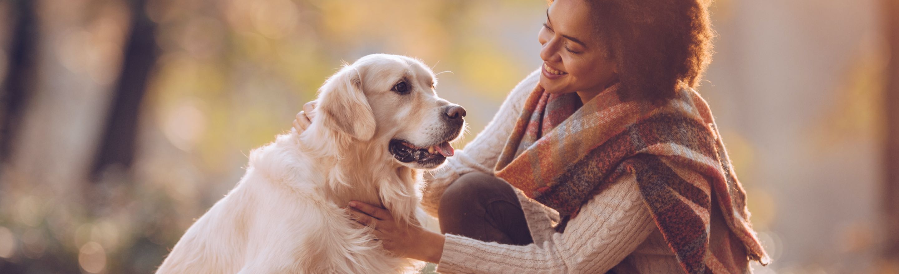 Simparica | Zoetis Petcare