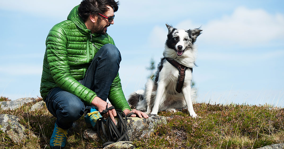 Avoiding Ticks While Hiking with Your Dog Zoetis Petcare