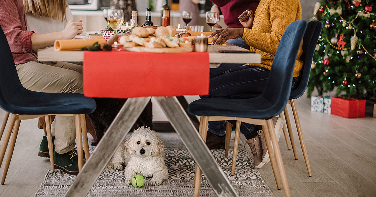 dog friendly new years eve breaks